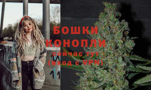 дурь Семёнов