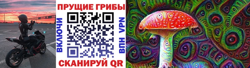Псилоцибиновые грибы Psilocybe  как найти закладки  Островной 